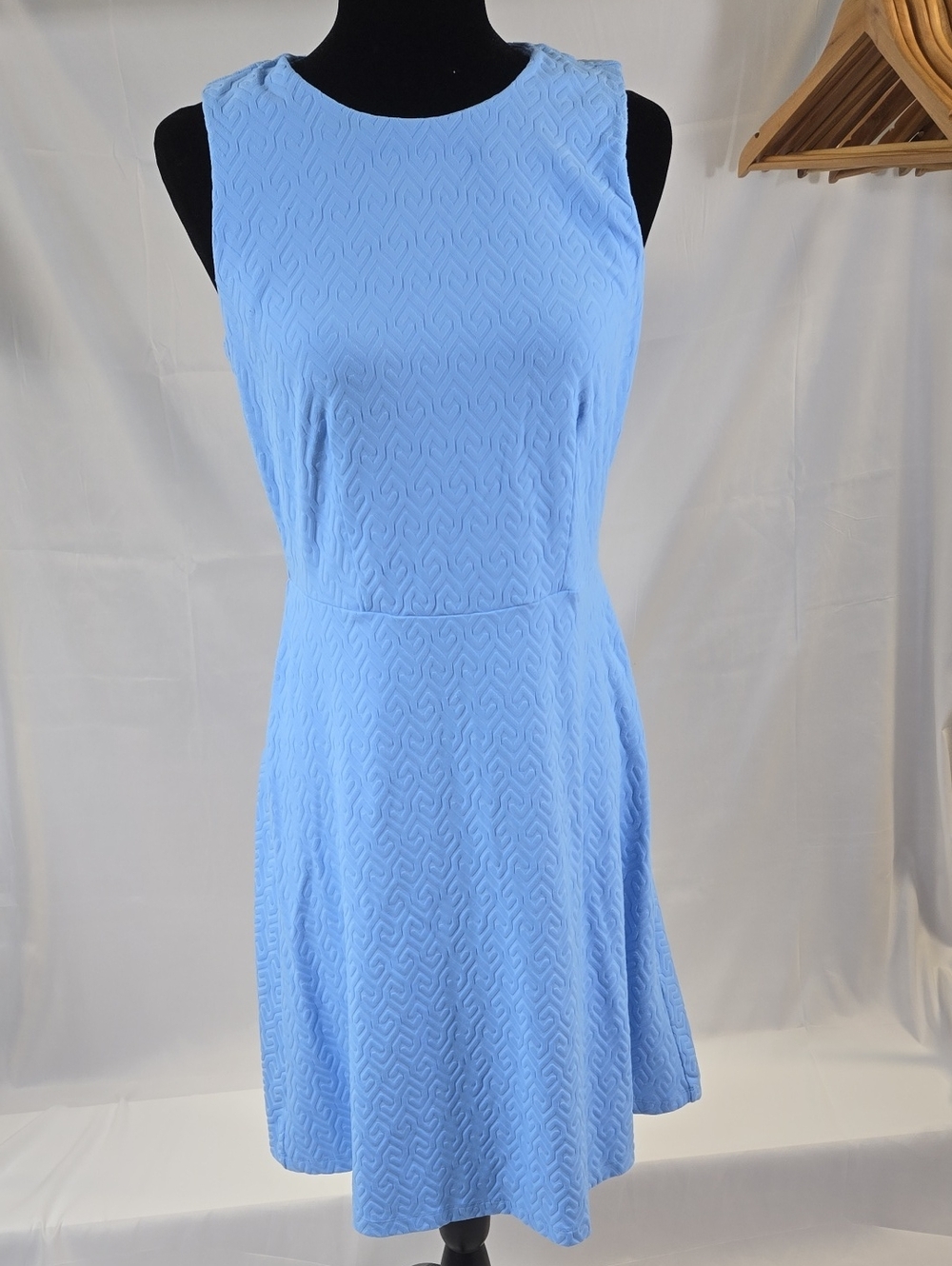 J. McLaughlin Catalina Cloth Light FrenhBlue Fit & Flare Dress Small